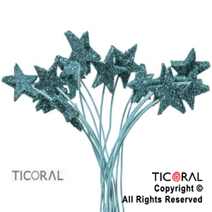 MICROFORMA ESTRELLA TURQUESA GIBRE TELGO x 18